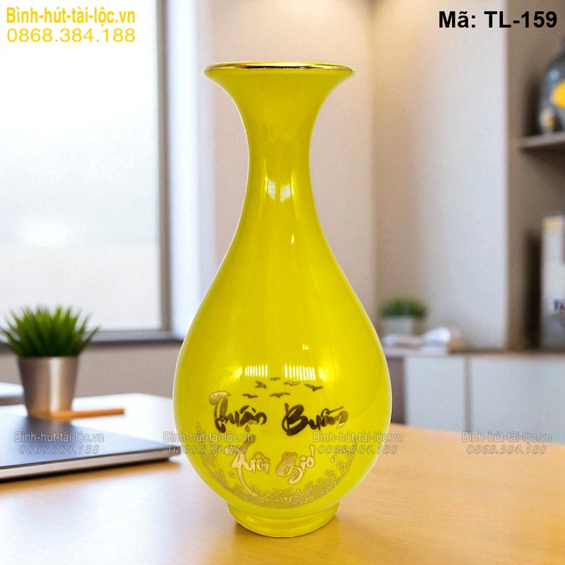 Lục bình phong thủy đặt trong phòng khách nhưng chỉ mang tính trang trí
